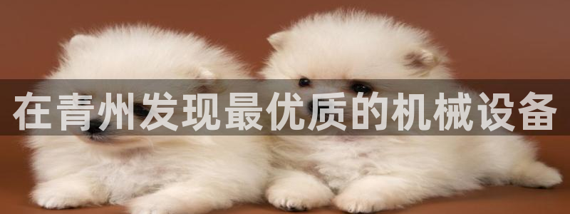 九游会游戏官方登录