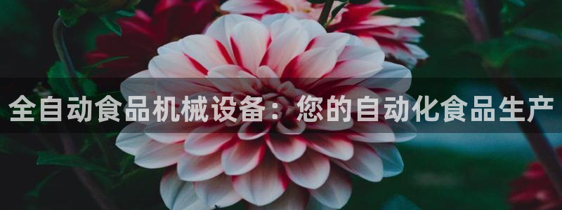九游会j9官网入口登录新版