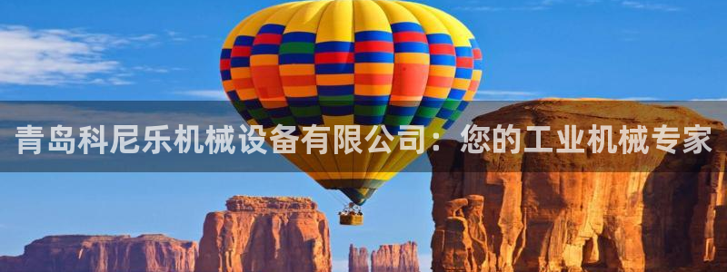 九游会视讯