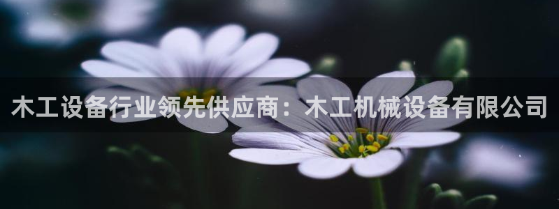 J9九游会老哥