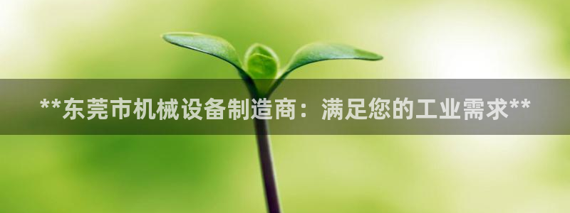 九游会ag官方网站在哪