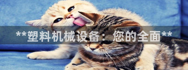 j9九游会官网入口