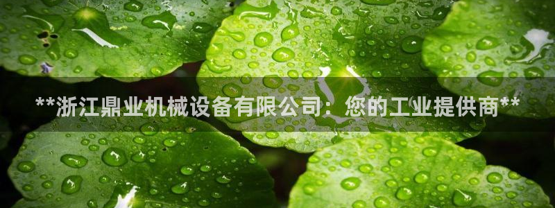 九游会在线官方网站登录吗