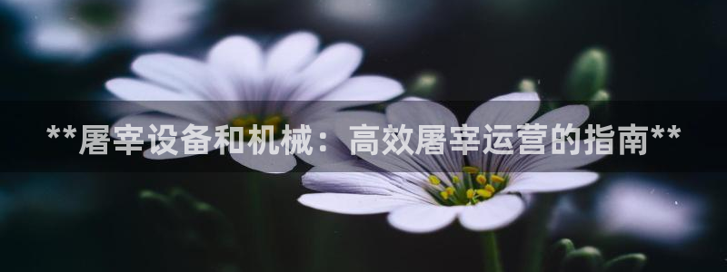 j9九游会ag8手机aPP