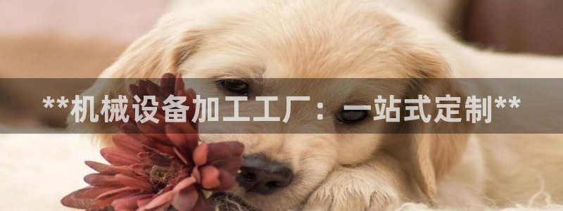 九游j9国际