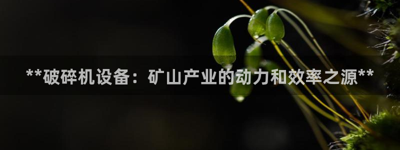 九游会视讯
