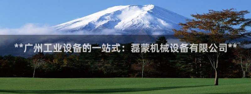 j9九游会官方网站国际怎么样