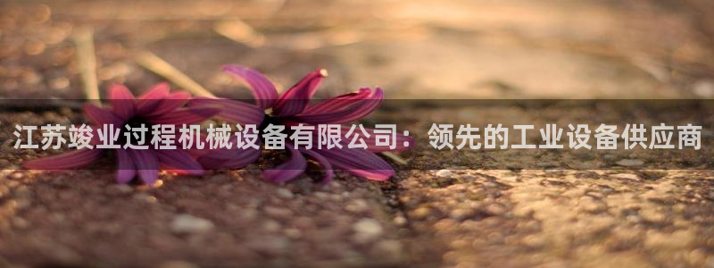 九游会直营