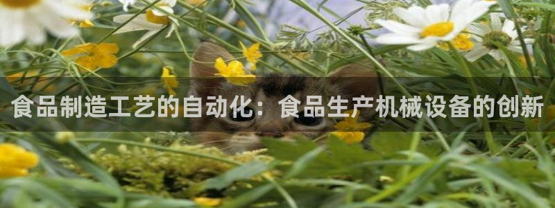 九游会老哥论坛