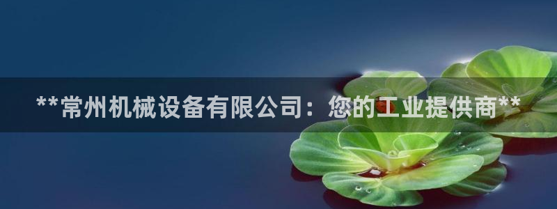 J9九游会强势登录