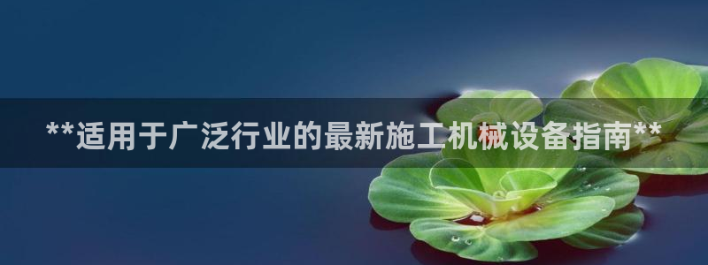 九游会登录网站吗