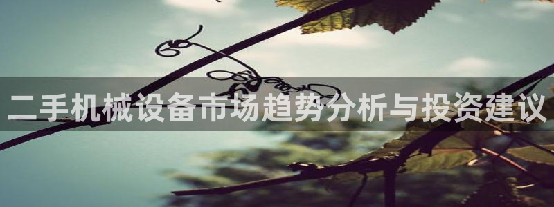 九游会官网真人认证吗知乎