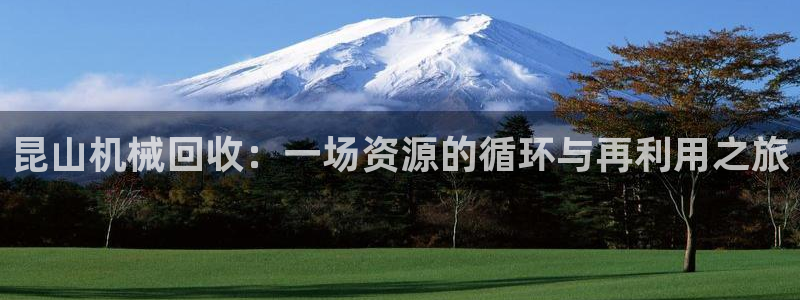 九游会官网网页版