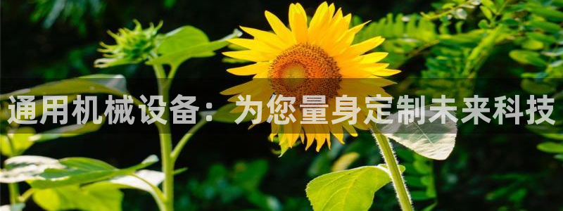 J9九游会九游国际版